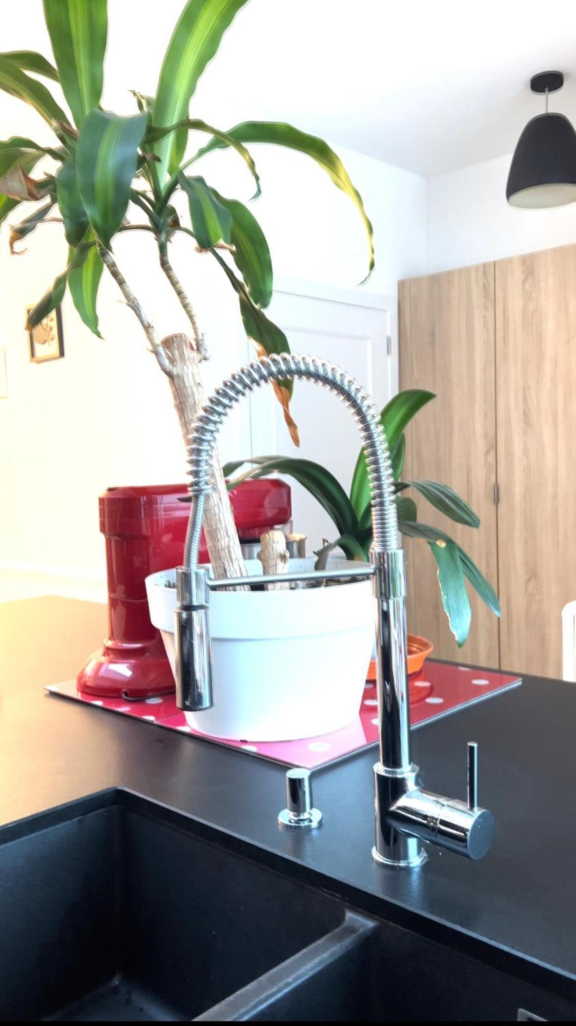 Appartement 3 Chambres Centre Vilvoorde Bruxelles Brusselsairport Expo Nato Anvers Wifi Free Parking מראה חיצוני תמונה